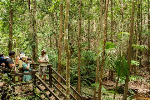 Fraser Explorer K'gari 2-Day Tour - Accommodation Daintree 5