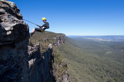 Half-Day Abseiling Adventure In Blue Mountains National Park - Accommodation Daintree 1