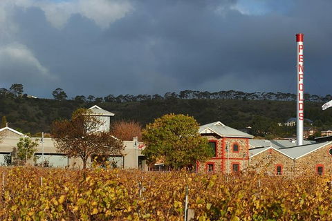 Penfolds Magill Estate Iconic Experience - Accommodation Daintree 3
