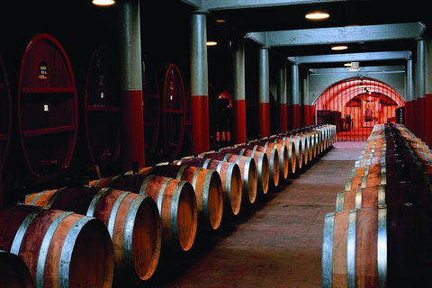 Penfolds Magill Estate Iconic Experience - Accommodation Daintree 4