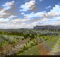 Hunter Valley Wine Tour from Sydney incl Lunch Cheese Chocolate and Distillery - Accommodation Daintree