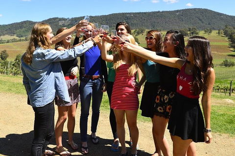 Hunter Valley Wine Tour From Sydney Incl Lunch, Cheese, Chocolate And Distillery - Accommodation Daintree 3