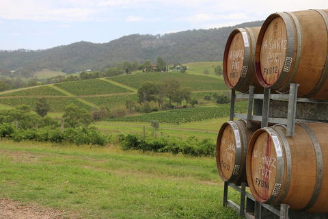 Hunter Valley Wine Tour From Sydney Incl Lunch, Cheese, Chocolate And Distillery - Accommodation Daintree 5