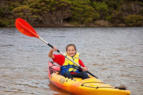 Kangaroo Island Self-Guided Kayaking On The Harriet River - Accommodation Daintree 1