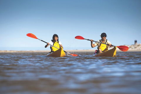 Kangaroo Island Self-Guided Kayaking On The Harriet River - Accommodation Daintree 2