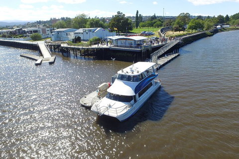 2.5 Hour Morning Discovery Cruise Including Sailing Into The Cataract Gorge - Accommodation Daintree 3