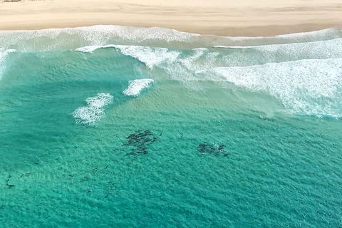 Coastal Helicopter Shared Flight - 20 Minutes - Accommodation Daintree 4