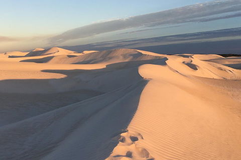 Pinnacles Desert Private Tour - Accommodation Daintree 1
