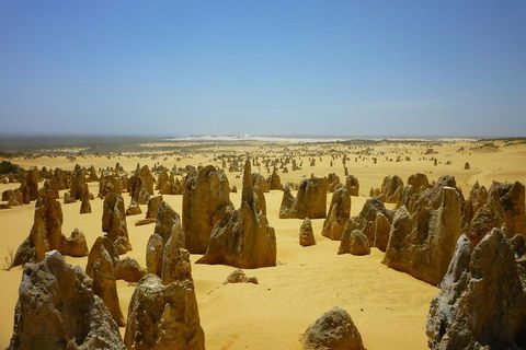 Pinnacles Desert Private Tour - Accommodation Daintree 2