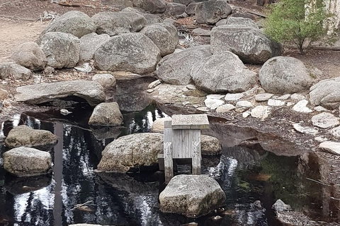 Bendigo, Echuca & The Mighty Murray - Accommodation Daintree 1