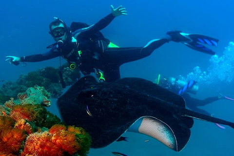 Scuba Dive The S.S. Yongala Wreck On The Great Barrier Reef. - Accommodation Daintree 0