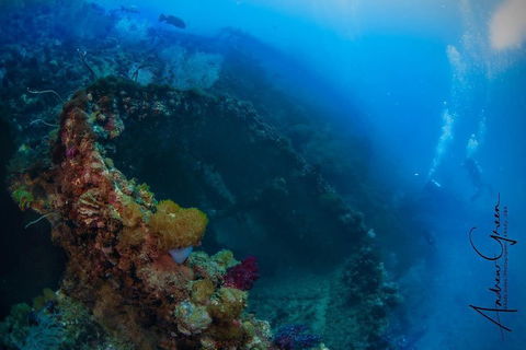 Scuba Dive The S.S. Yongala Wreck On The Great Barrier Reef. - Accommodation Daintree 3