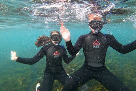 Manly Snorkel Trip And Nature Walk With Local Guide - Accommodation Daintree 3