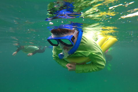 Manly Snorkel Trip And Nature Walk With Local Guide - Accommodation Daintree 5