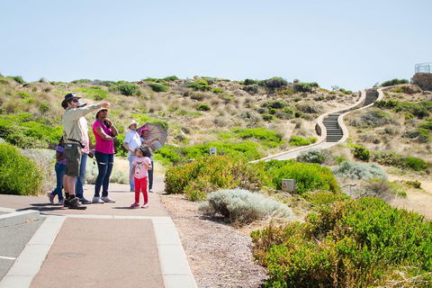 Margaret River Coastal And Wildlife Eco Trip From Busselton Or Dunsborough - Accommodation Daintree 0