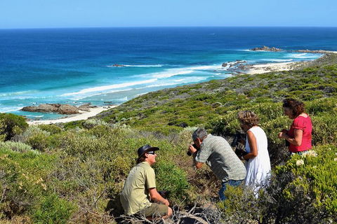 Margaret River Coastal And Wildlife Eco Trip From Busselton Or Dunsborough - Accommodation Daintree 2