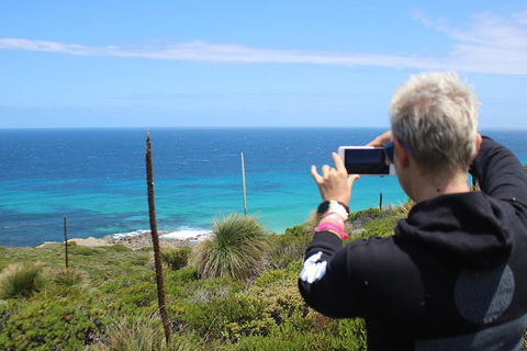 Margaret River Coastal And Wildlife Eco Trip From Busselton Or Dunsborough - Accommodation Daintree 3